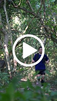 BIB:  <button type="button" onclick="openModal(28063733)" class="btn btn-primary btn-sm float-right" data-toggle="modal" data-target=".modal-high-quality">
                <i class="fa fa-download"></i> Download
                </button>